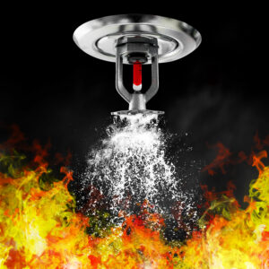 SPRINKLERS Y ESCUDOS